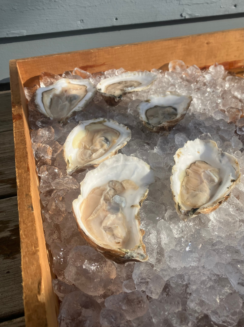 several oysters on ice in a wooden tray